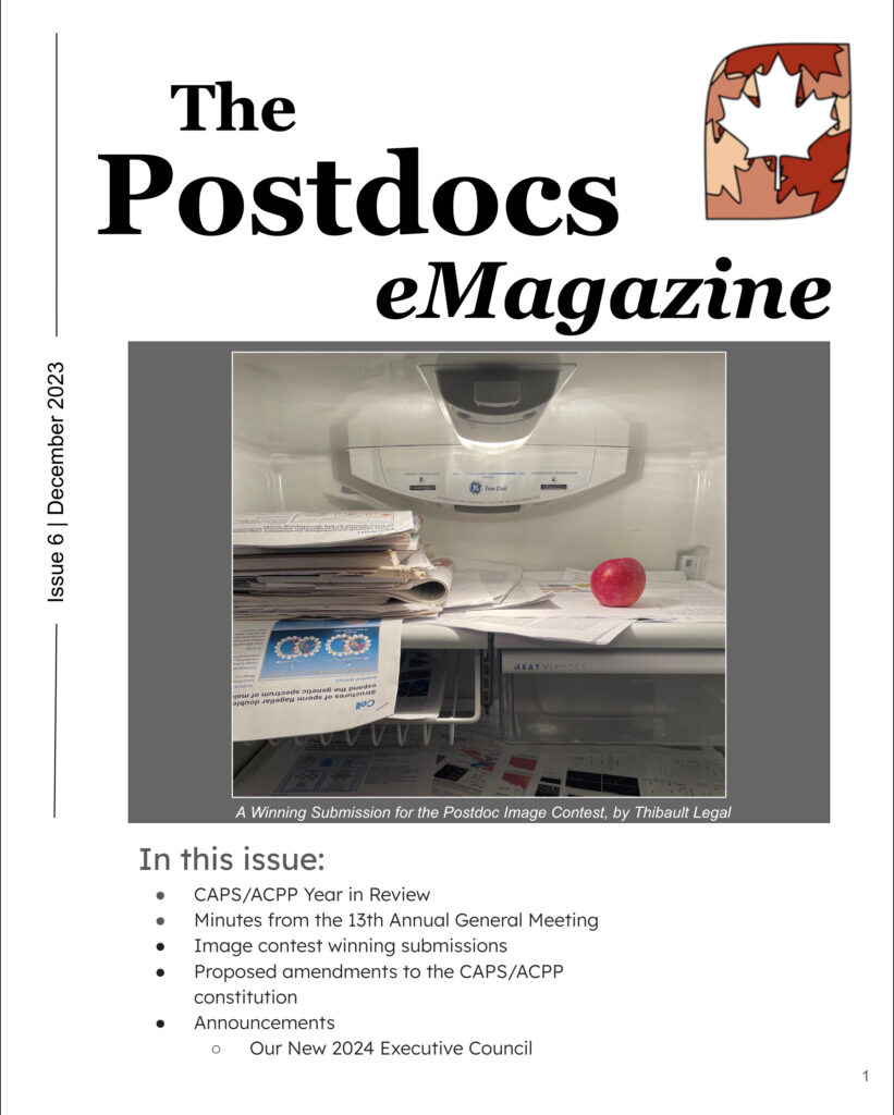 Cover of the 6th issue of eMagazine